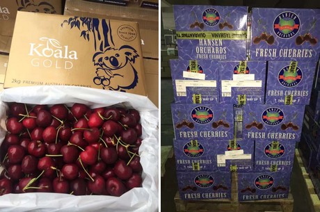 华南市场最受关注的当属车厘子.